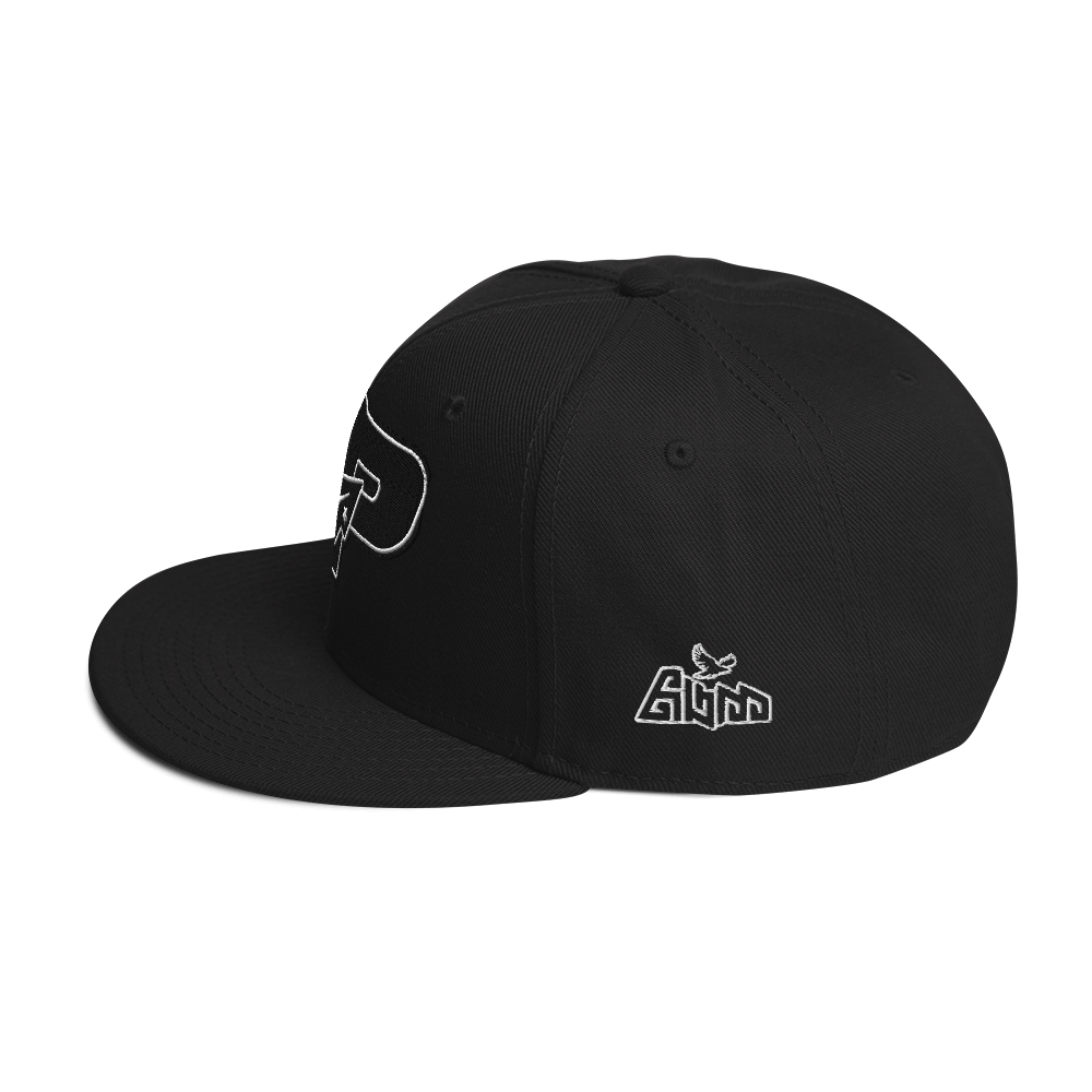 Paper Planes V2 Embroidered SnapBack