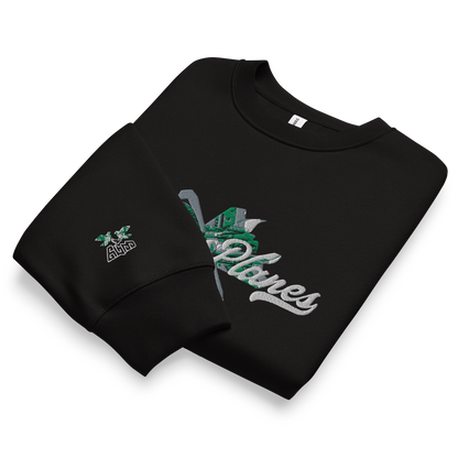 Paper Planes 2 Embroidered Sweatshirt