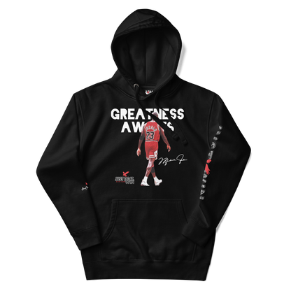 Jordan “Greatness Awaits” Hoody