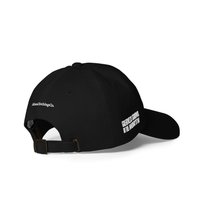 Paper Planes 2 Embroidered Dad Hat
